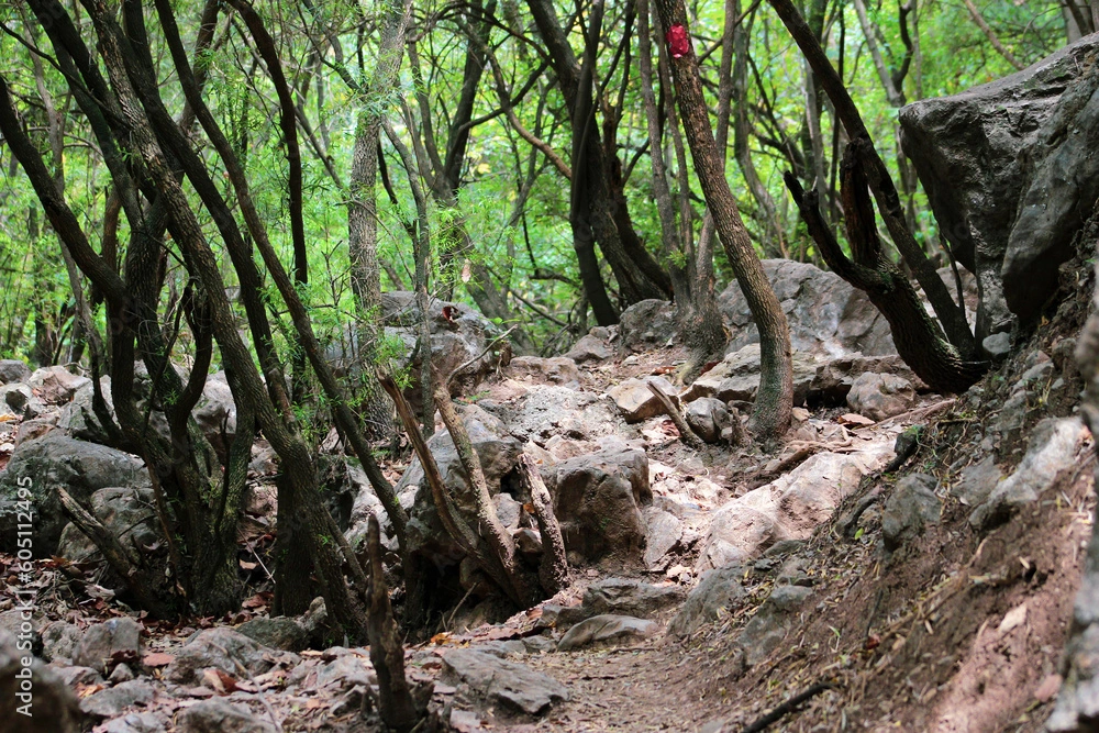 Trail 5 Islamabad