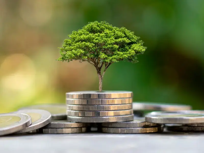investment-guide-in-Pakistan-2023- vat calculator expenders.tech_.webp