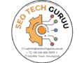 seo tech consultant guru logo (1)